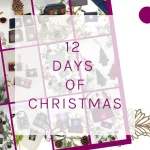 12 days of Christmas Gift Ideas 22